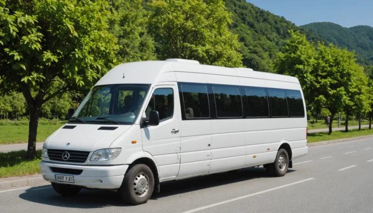 location minibus