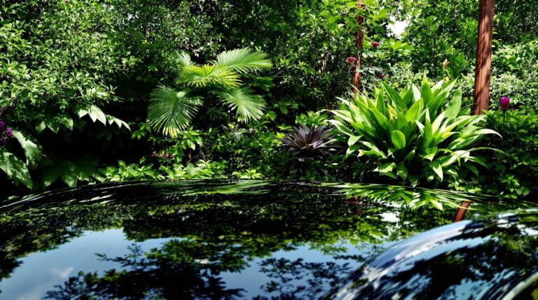 protection carrosserie