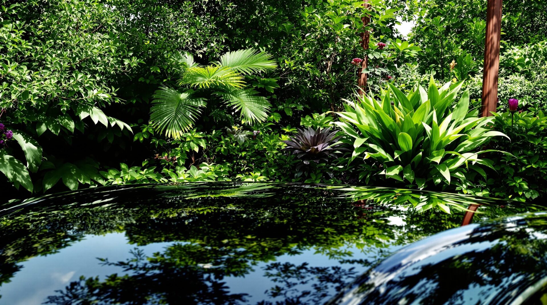 protection carrosserie