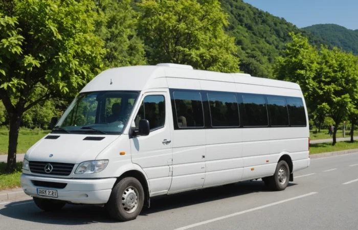 location minibus