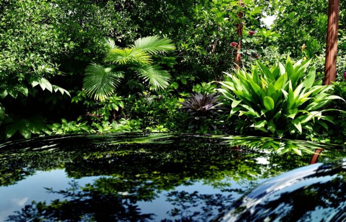 protection carrosserie